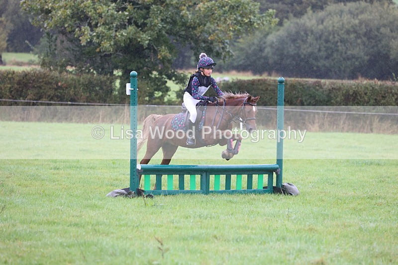 JPP_5150 - Class 1: 65cm : Showjumping