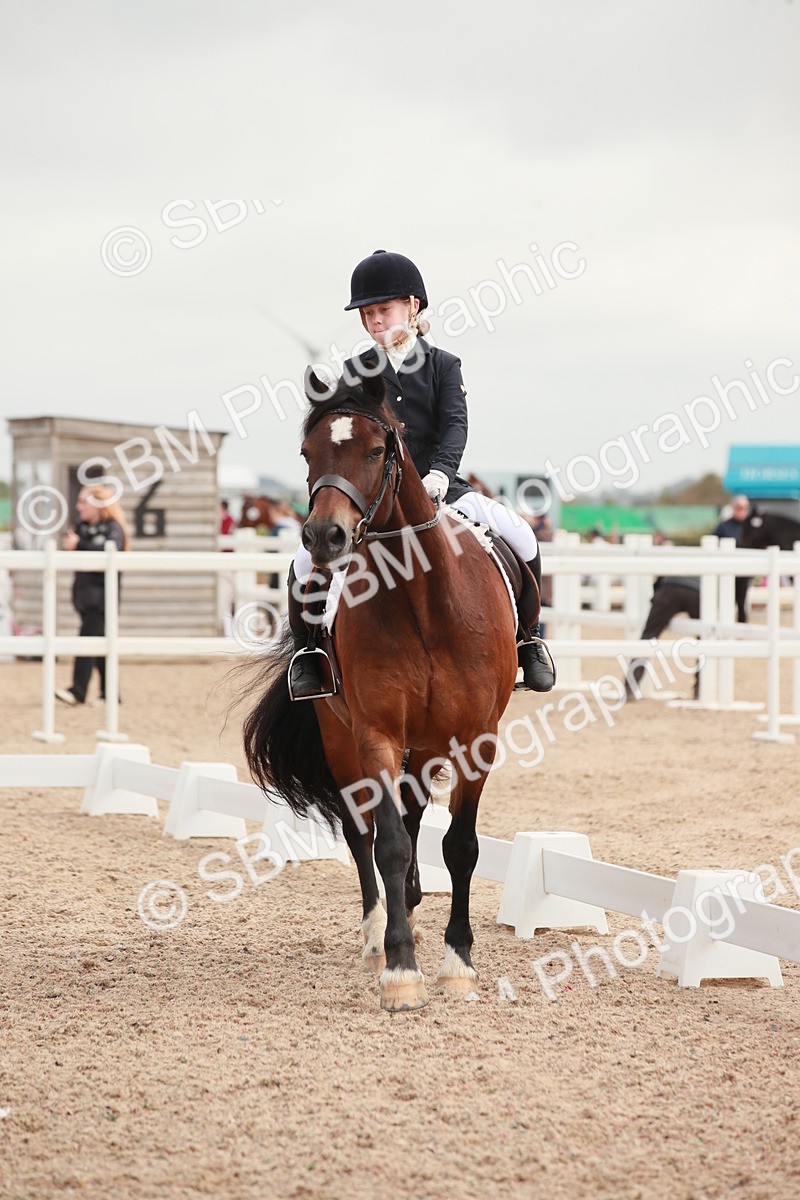 SBM_02612 - Class 30 - Intro 1