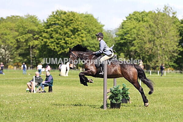 IMG_4017 - Working Hunter