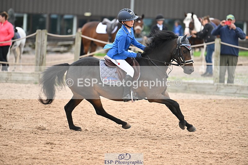 240907A-125849-01801 - Cls 3 Pony Medium Team 80cm & 90cm