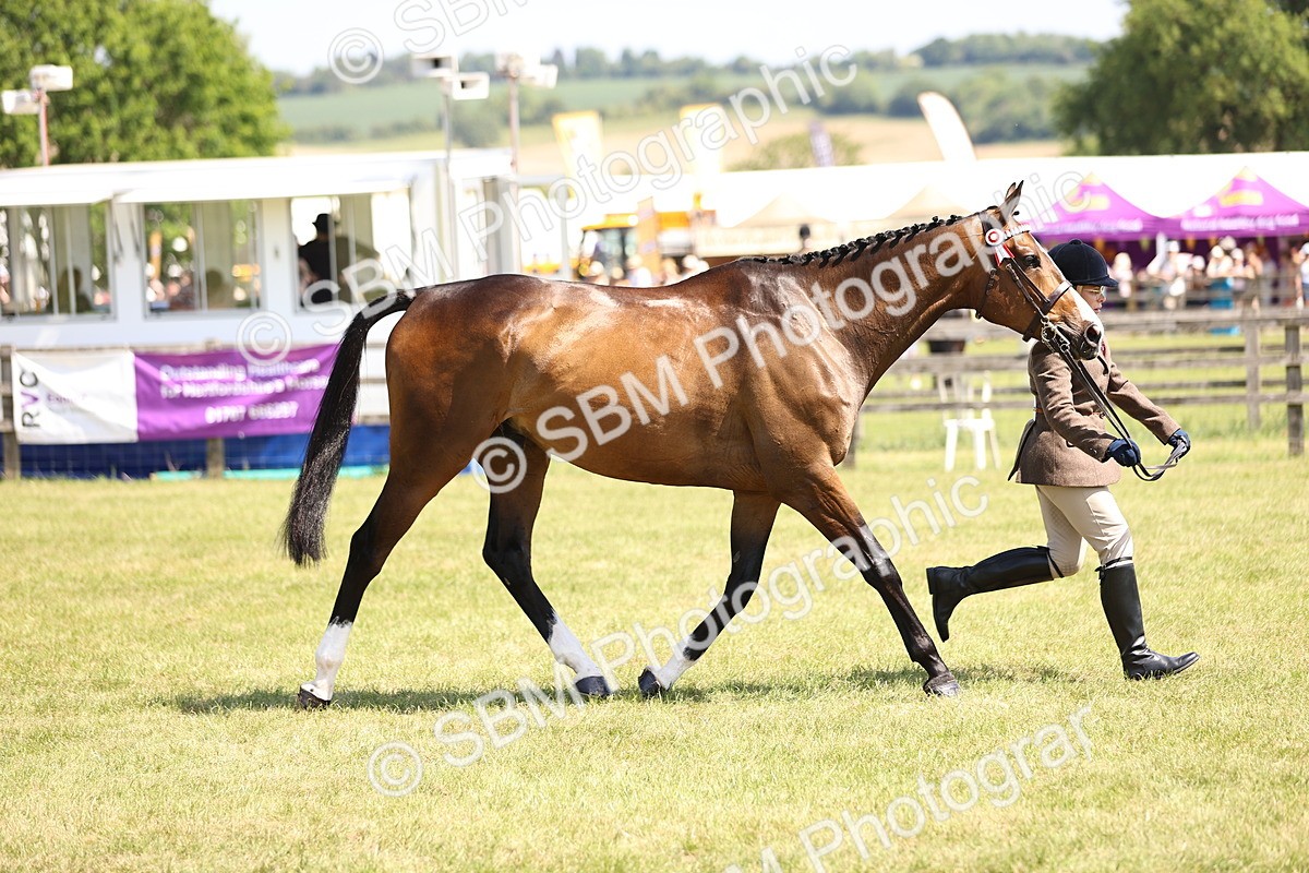 SBM_14973 - Class 78 - LIHS BSHA Open Racehorse & Show Horse