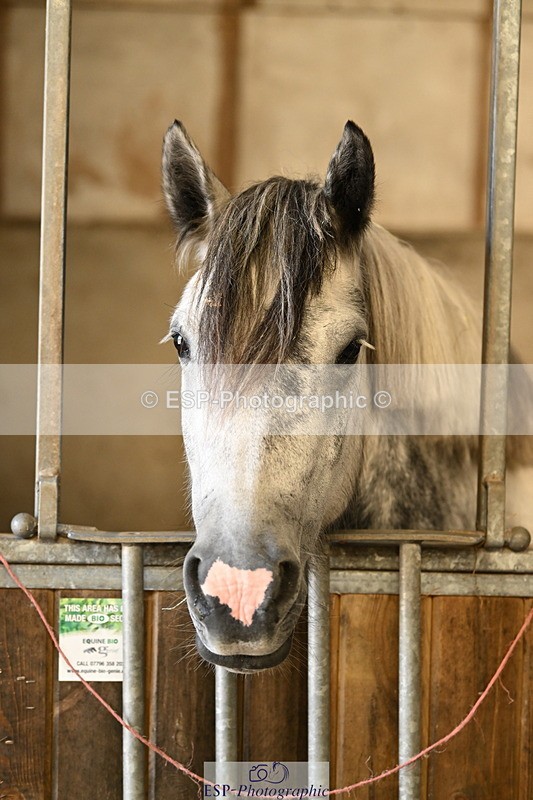 240809A-084510-00001 - Stable Shots