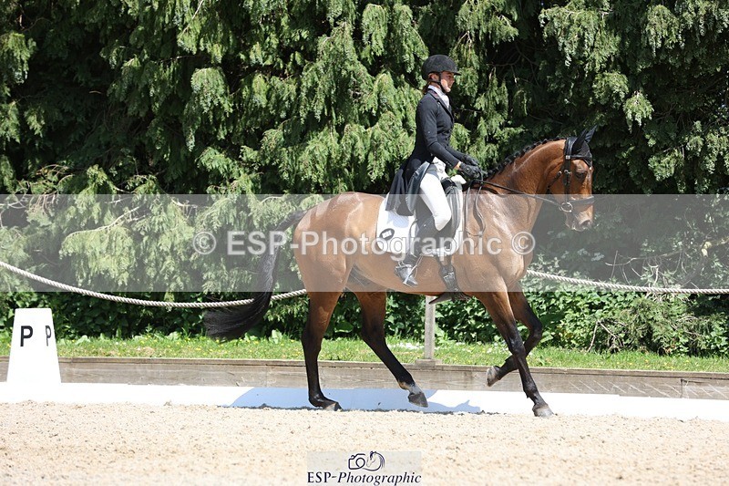 230526-142053-06508 - 373-BENGAL_LORE-Pippa_Taylor-WEDTrotUp+DR