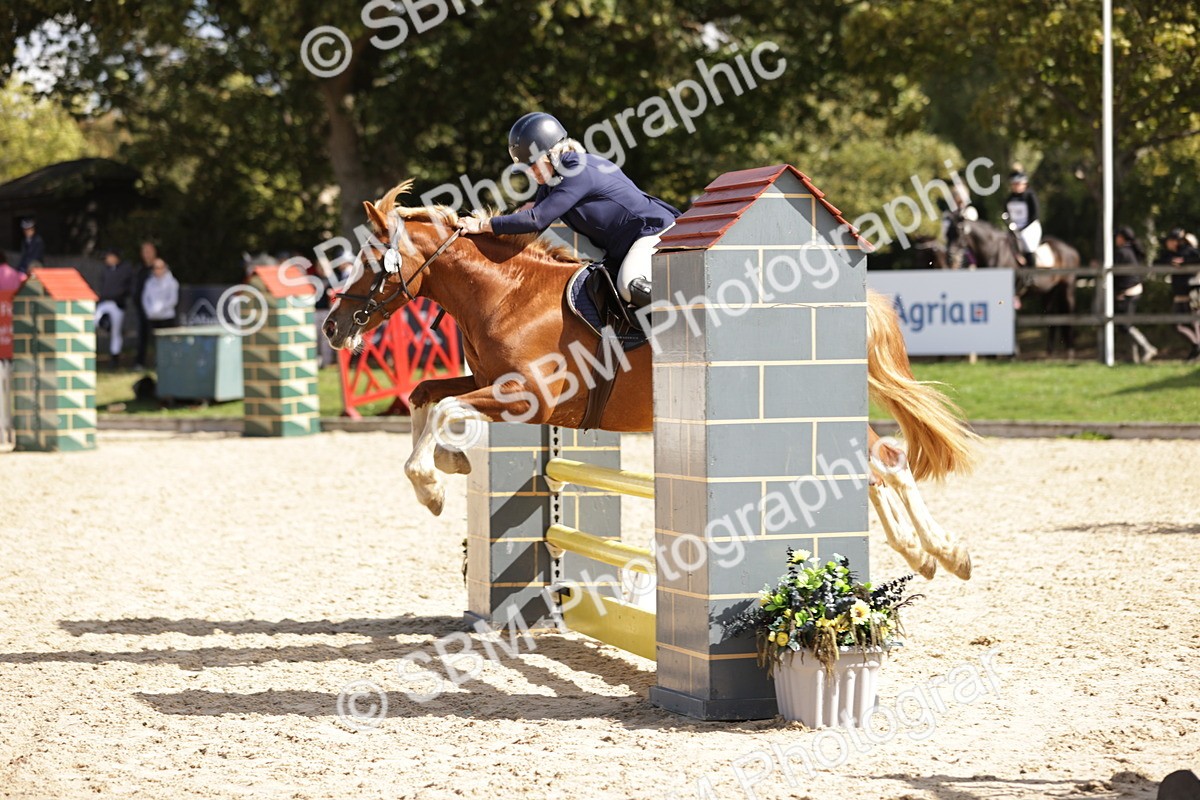 SBM_18561 - Supreme Championship