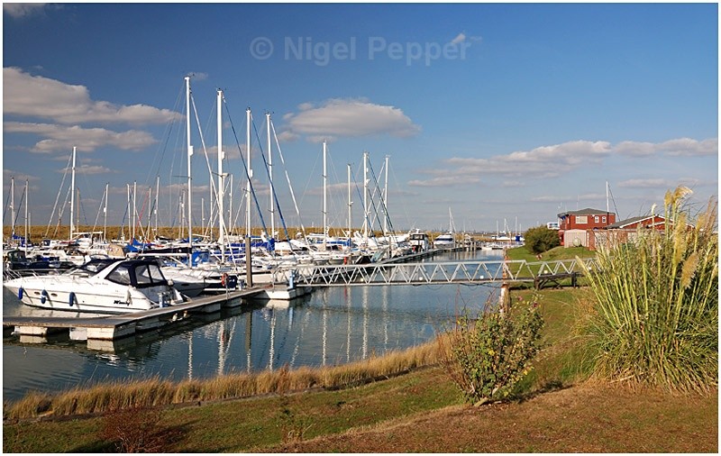 Marina (4) - Titchmarsh Marina