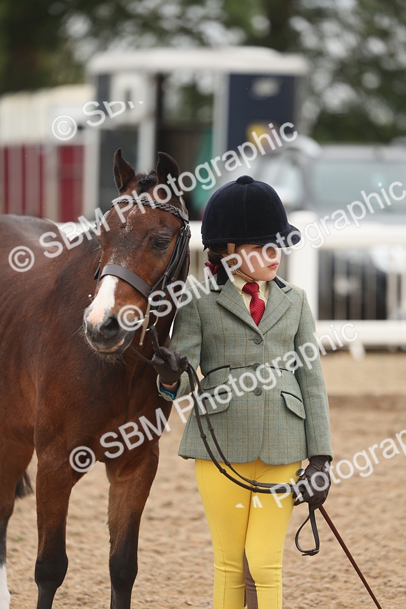 SBM_00539 - Class 13 Young Handler