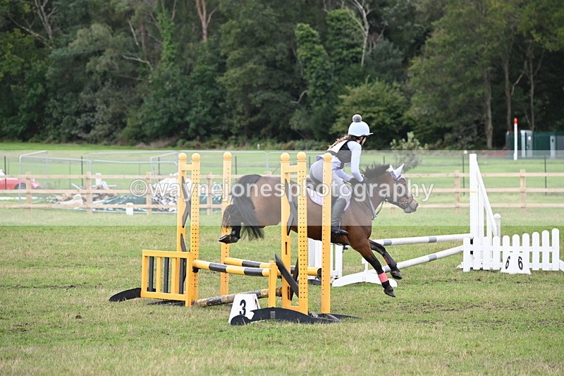 WJ6_1727 - 60cm Time 12:11 to 12:28