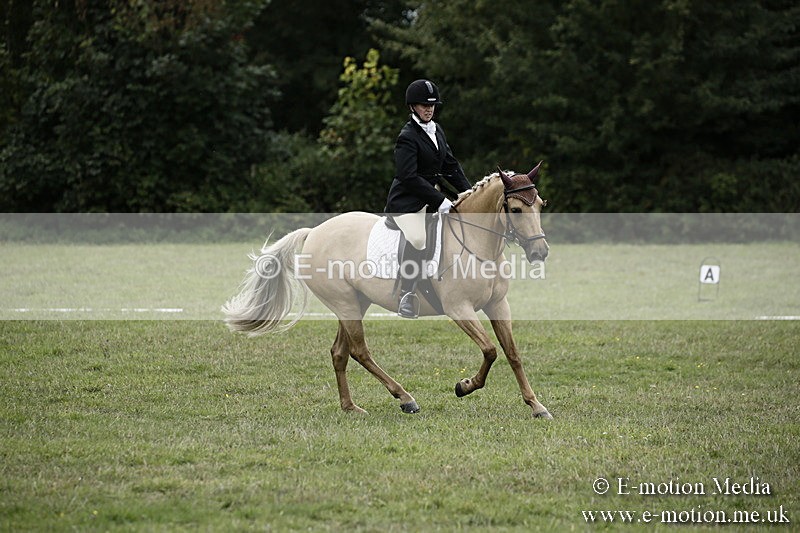 BVR080918 306 - BVRC Novice Dressage & CR 08/09/18