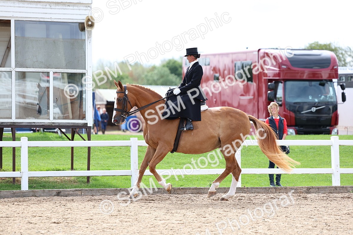 SBM_03330 - Class 23 - SSA Classical (any age)