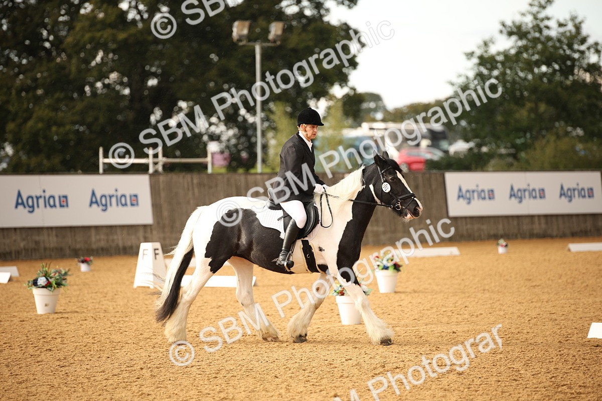 SBM_12383 - D3 Small  Tour Championship Intro A