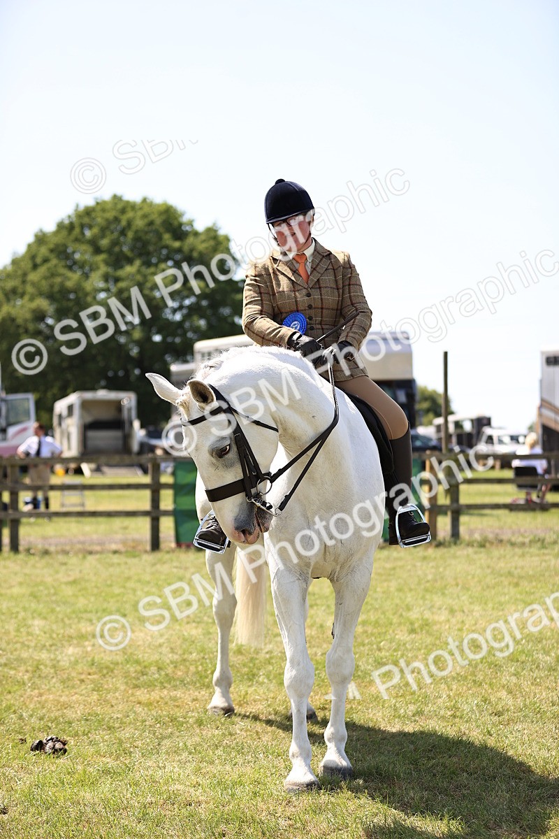 SBM_16185 - Class 79-80 - LIHS BSHA Rising Star Ridden Hunter