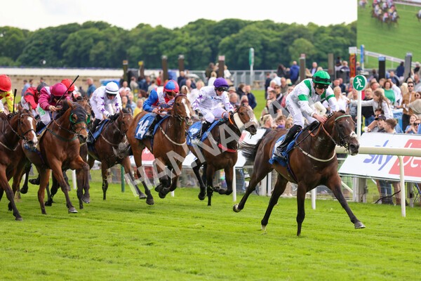 yr22052022r4-24 - Race 4: 5:05pm Sky Bet Sunday Mile