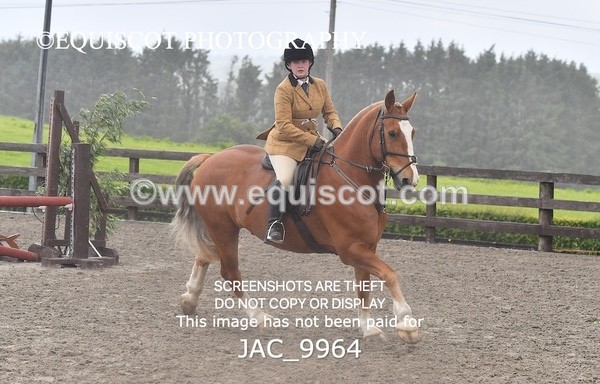 JAC_9964 - CLASS 3 Intermediate Working Hunter (0.70m - 0.85m)