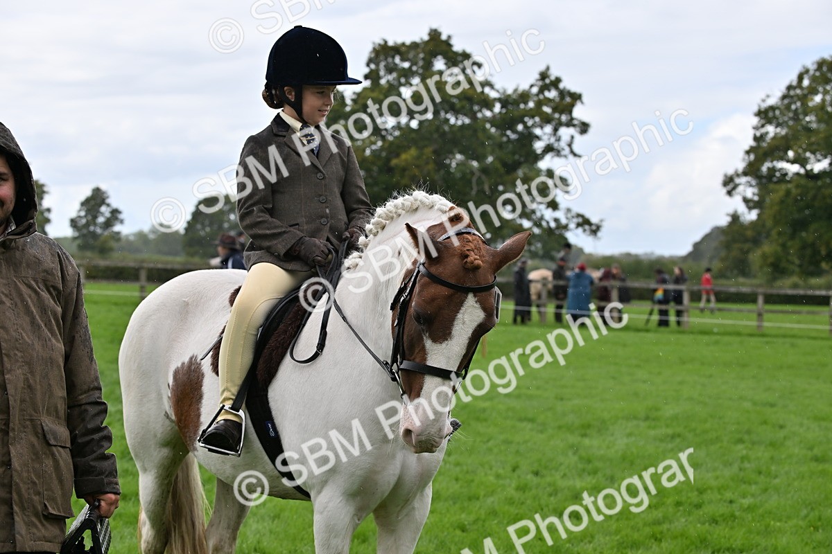 SBM_43040 - S12 - Family Horse & Pony
