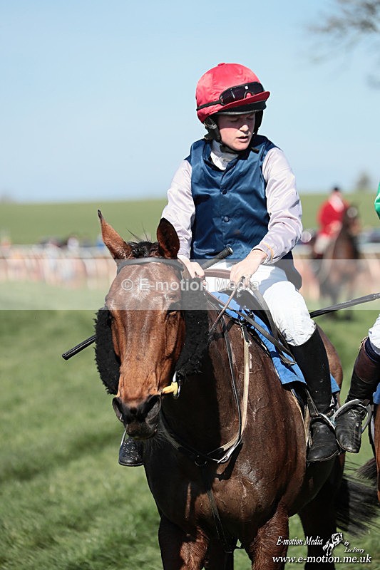 PtP 210326 178 - VWH Cirencester Races 21/03/26