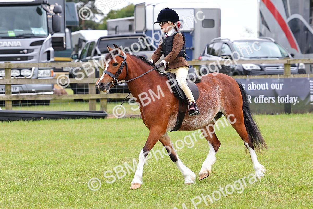 SBM_08769 - Class 42-43 - LIHS BSPS Heritage Working Sports Pony