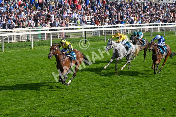 220825-Race 5-Cape Flora-7674 - Race 5 4.10pm Assured Data Protection EBF Fillies' Handicap