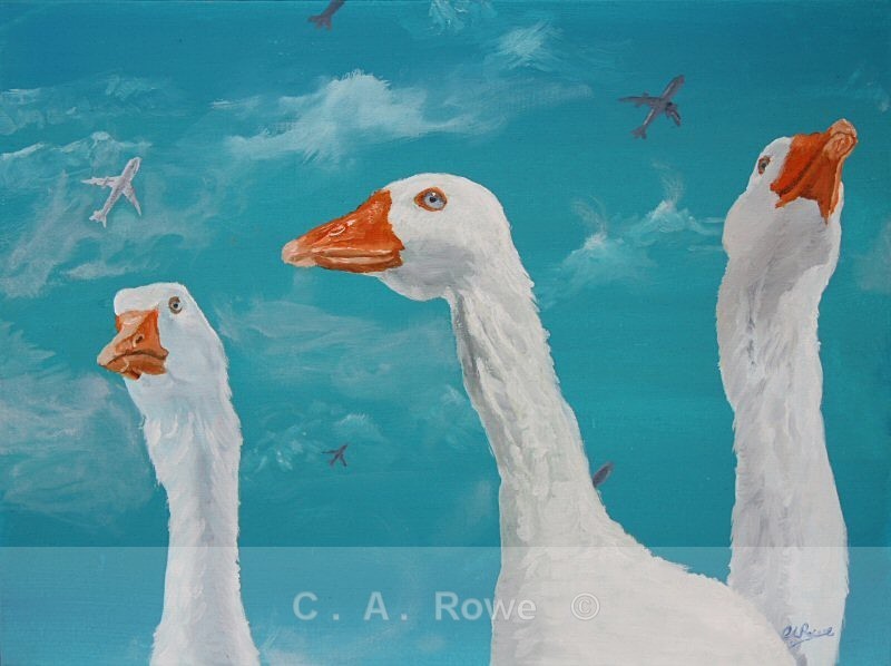 Concerning Flight 2 - Gallery 1