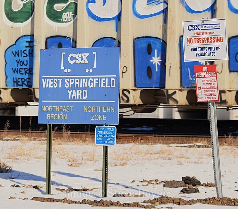 27th Jan 2025 - West Springfield, MA