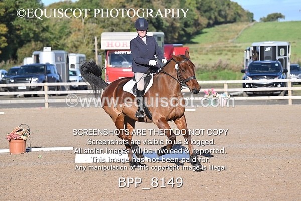 BPP_8149 - LONG ARENA