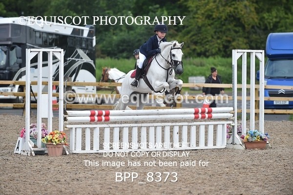 BPP_8373 - CLASS 1 British Novice / 0.80m Open