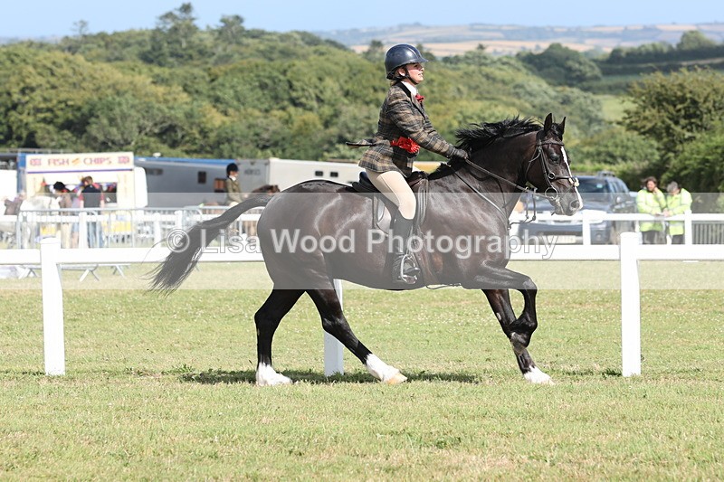 JPP_2471 - Class 19: Working Hunter 60cm