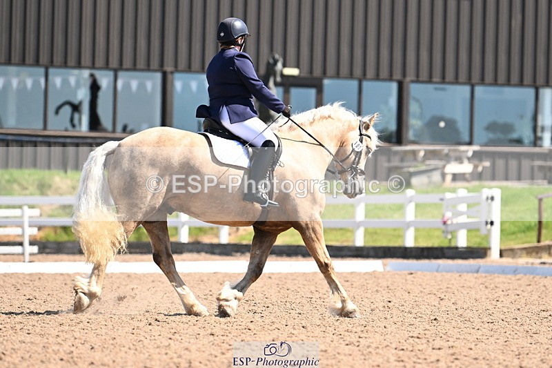 240621A-103304-01822 - Cls 2 BD Prelim 19