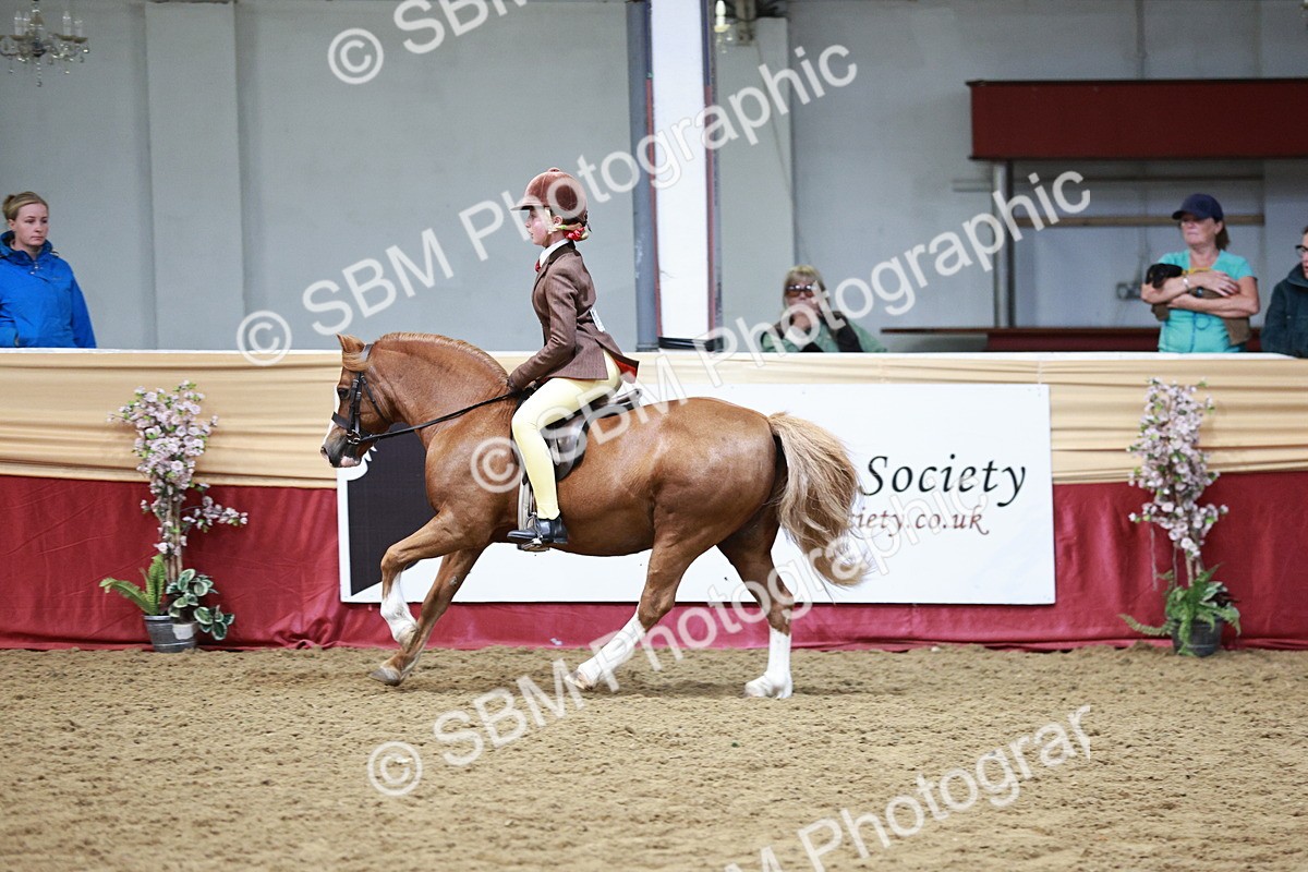 SBM_03582 - Class 6A Area Ridden Pre-Vet
