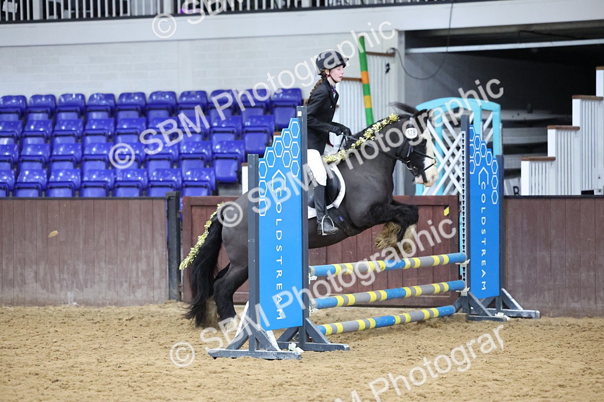 SBM_001126 - Class 3 - Christmas Tree Stakes - 60cm