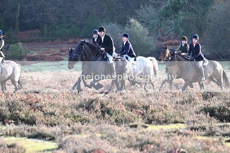 WJ7_7912 - Line 3 (no line 4 or 5)