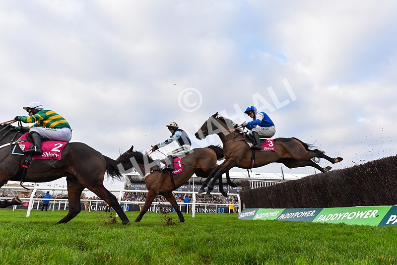 151124-Race 3-Boothill-8907 - Race 3