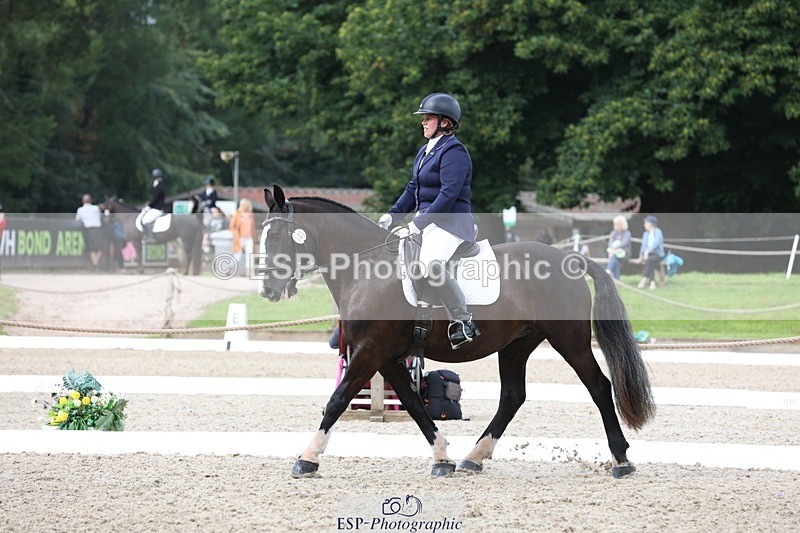 230812-111732-03720 - Cls 5 Novice Bronze 11.15 to 12.50 break