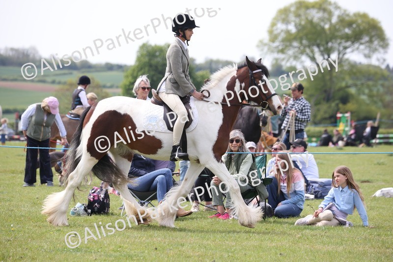 20260426-2925 - Class 33 - Best Pony 14.2hh and Under