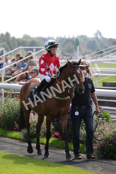 yr05092021rP-15 - Pony Races 138 and 148 cm