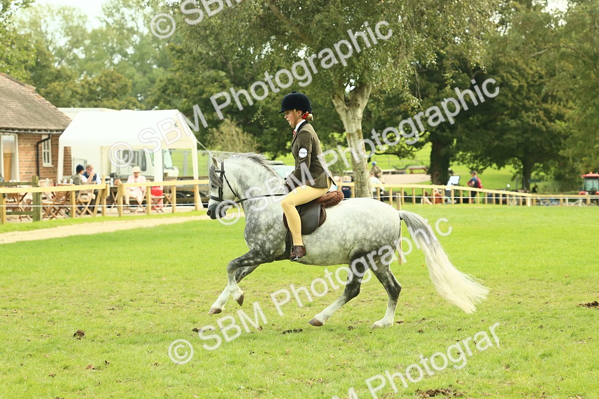 SBM_69865 - S59 - Mountain & Moorland Ridden Small Breeds