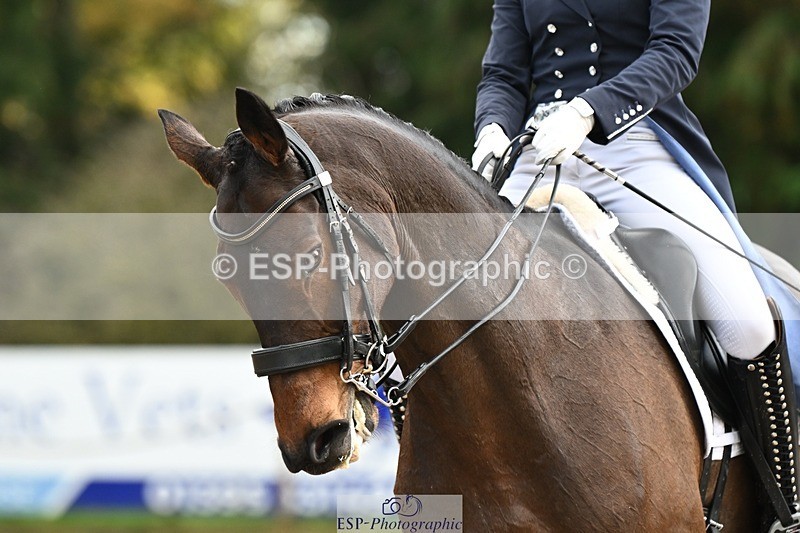 231110-152326-02170 - Cls 11 FEI PSG