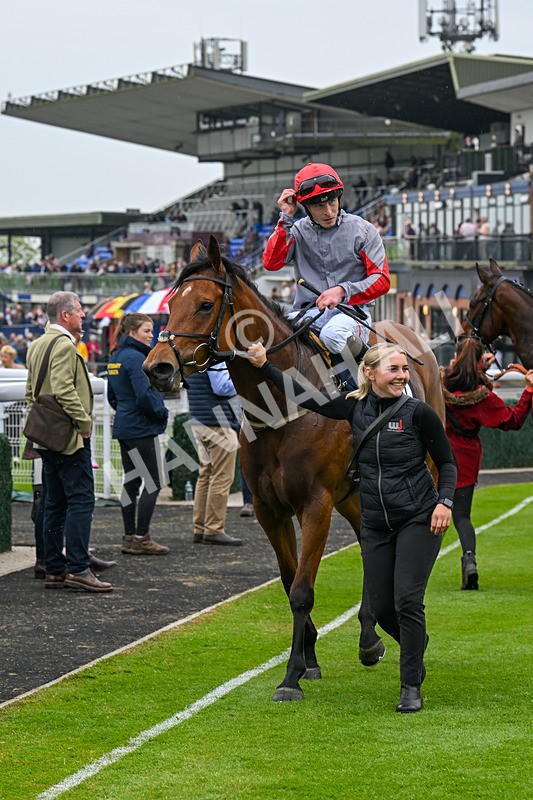 140524-Race 4-Bella Kopella-2180 - Race 4