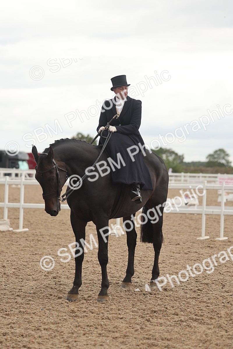 SBM_06298 - Class 23 - SSA - Classical