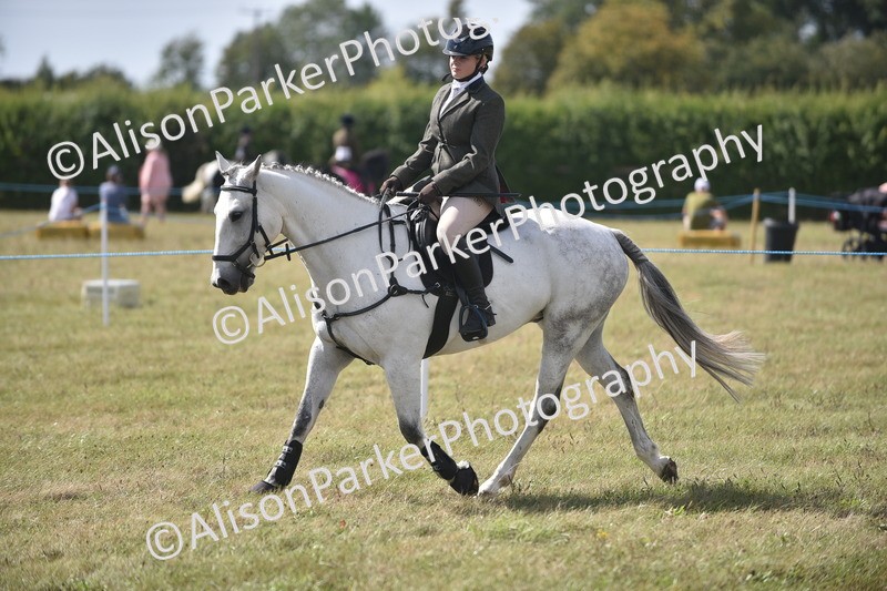 20260906-2707 - Class 13 - Working Hunter Horse or Pony