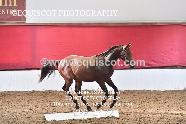 BPP_1472 - MORNING 9AM - 12PM