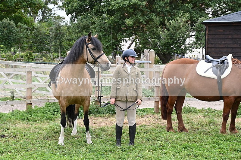 WJ6_2863 - Berks & Bucks - The Old farmhouse - Hound Exercise 20-08-25