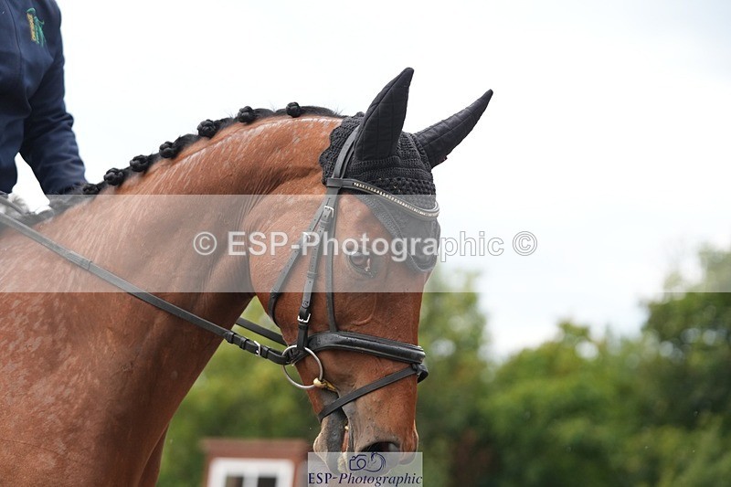 250907-103722-05849 - 042-Ana.HughesBallycahane.Billy
