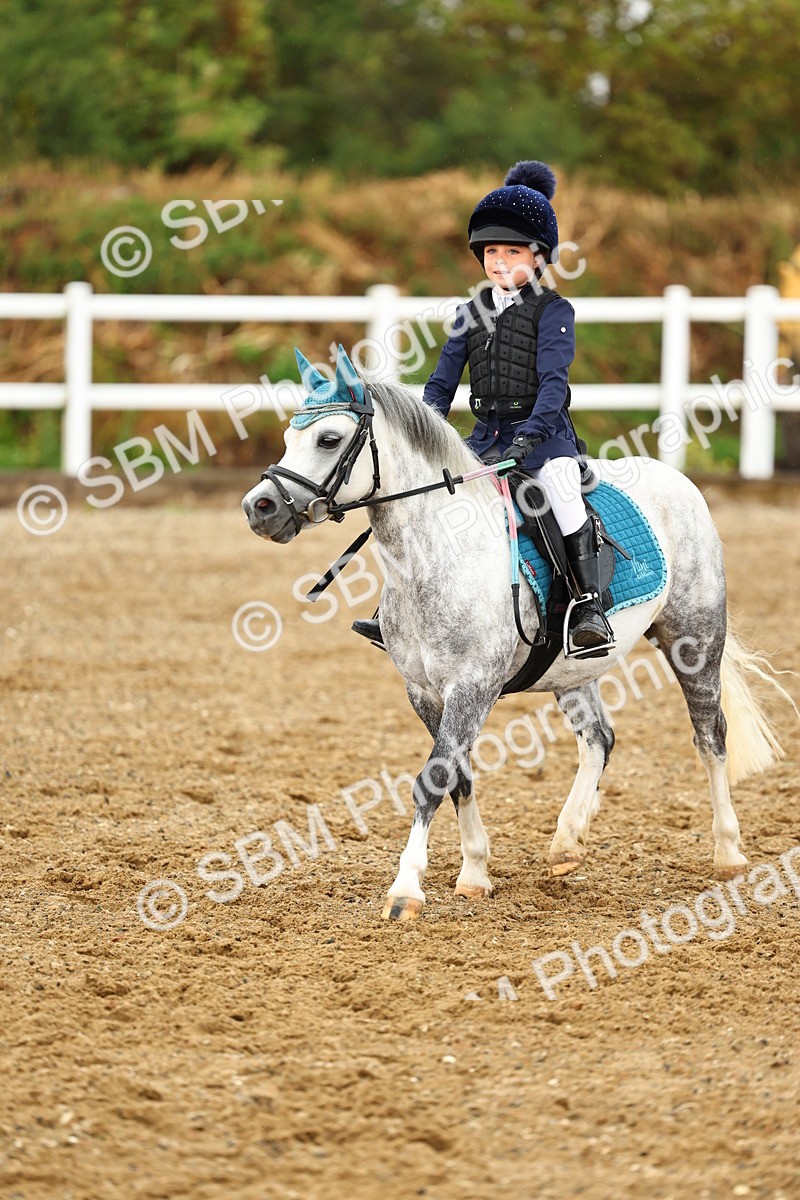 SBM_000782 - Class 3 - 60cm