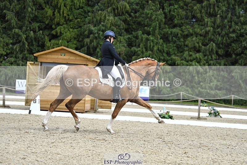 230812-144041-04771 - Cls 7 FEI PSG Bronze