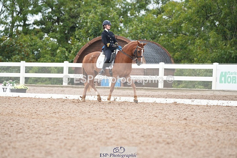 250907-153714-09587 - 122-India.JohnGrayswood.Orlando