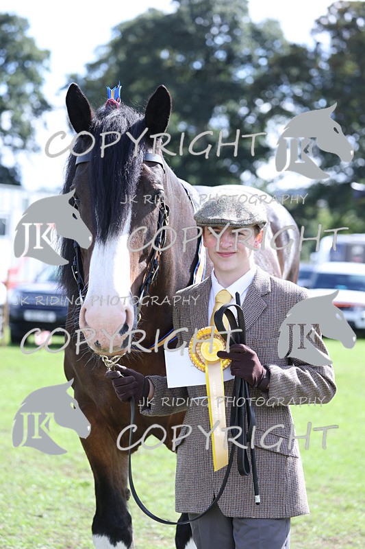 APP_3469 - Class 6 Young Handlers