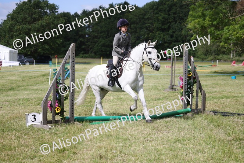 20260614-0539 - Class 20 - Beginners Working Hunter Pony