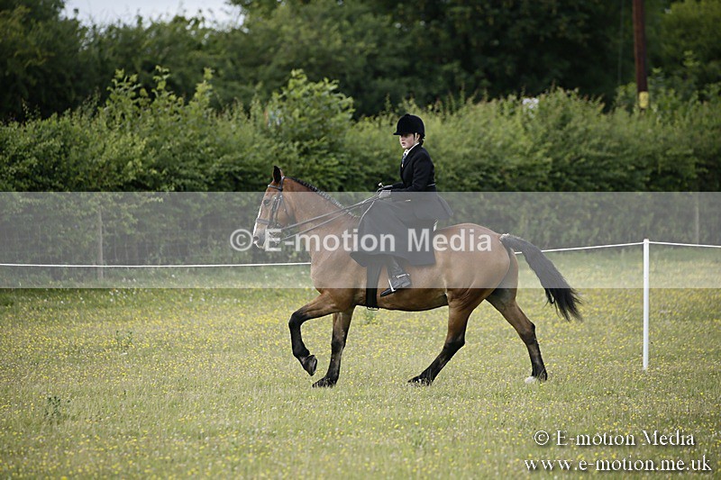 BVR160717-1646 - Side Saddle Classes 16/07/17