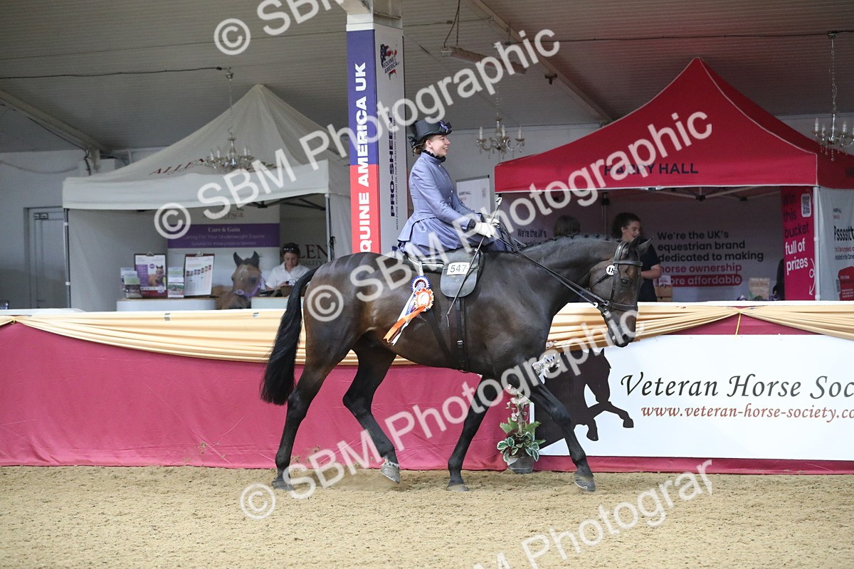 SBM_11641 - Class 105 Ridden Costume- Side Saddle