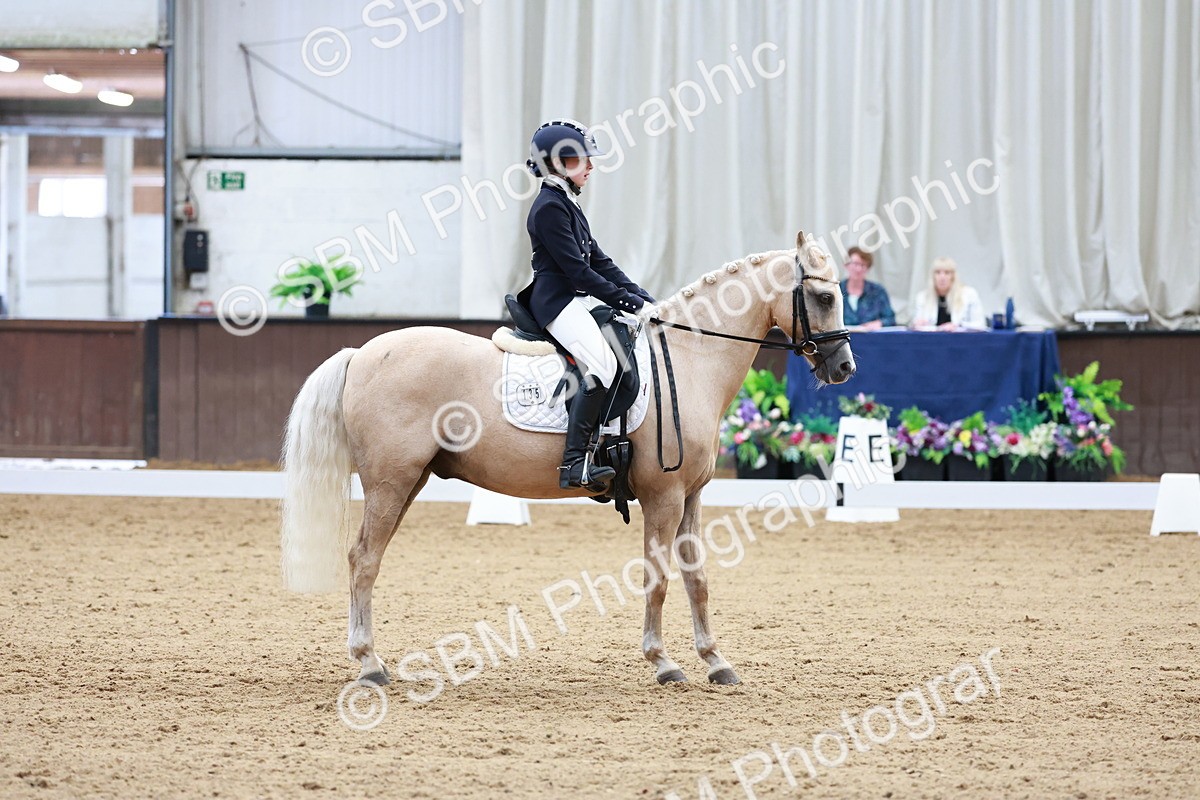 SBM_017378 - Class15 - FEI Pony